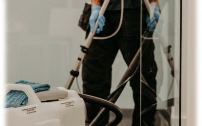 Shampouinage de Moquette : Le Guide du Professionnel